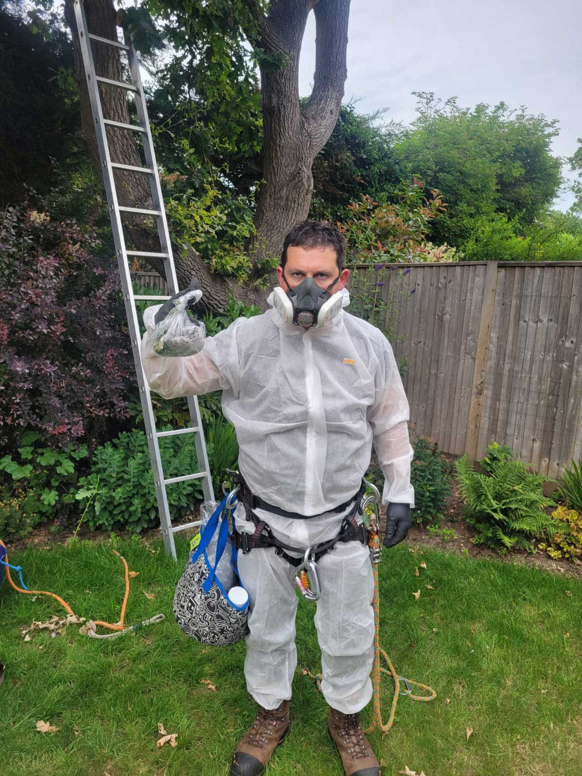 ArborLife Tree Surgeon wearing specialist PPE before removing Oak Processionary Moth nests in Cobham