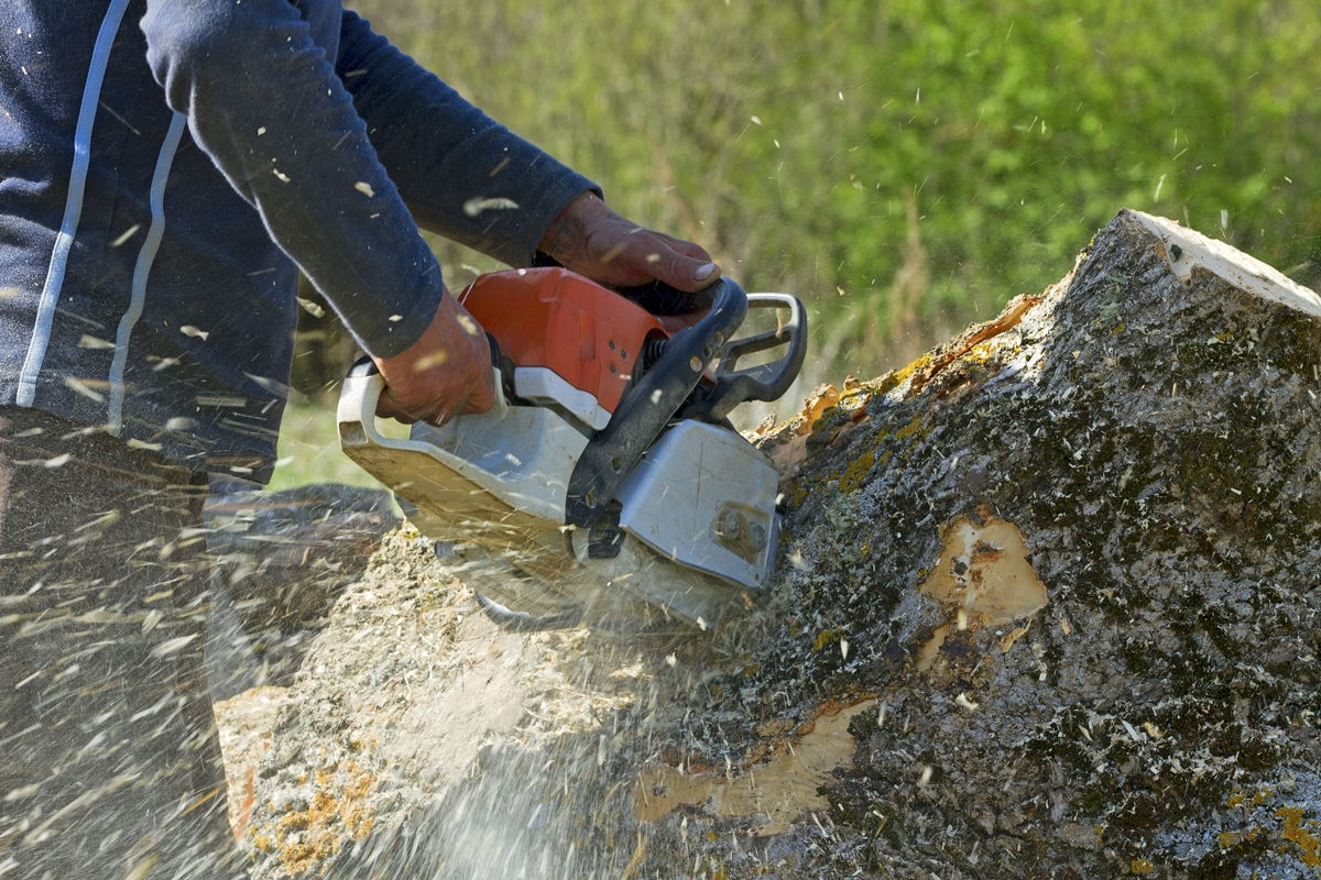 cobham stump grinding surgeons 