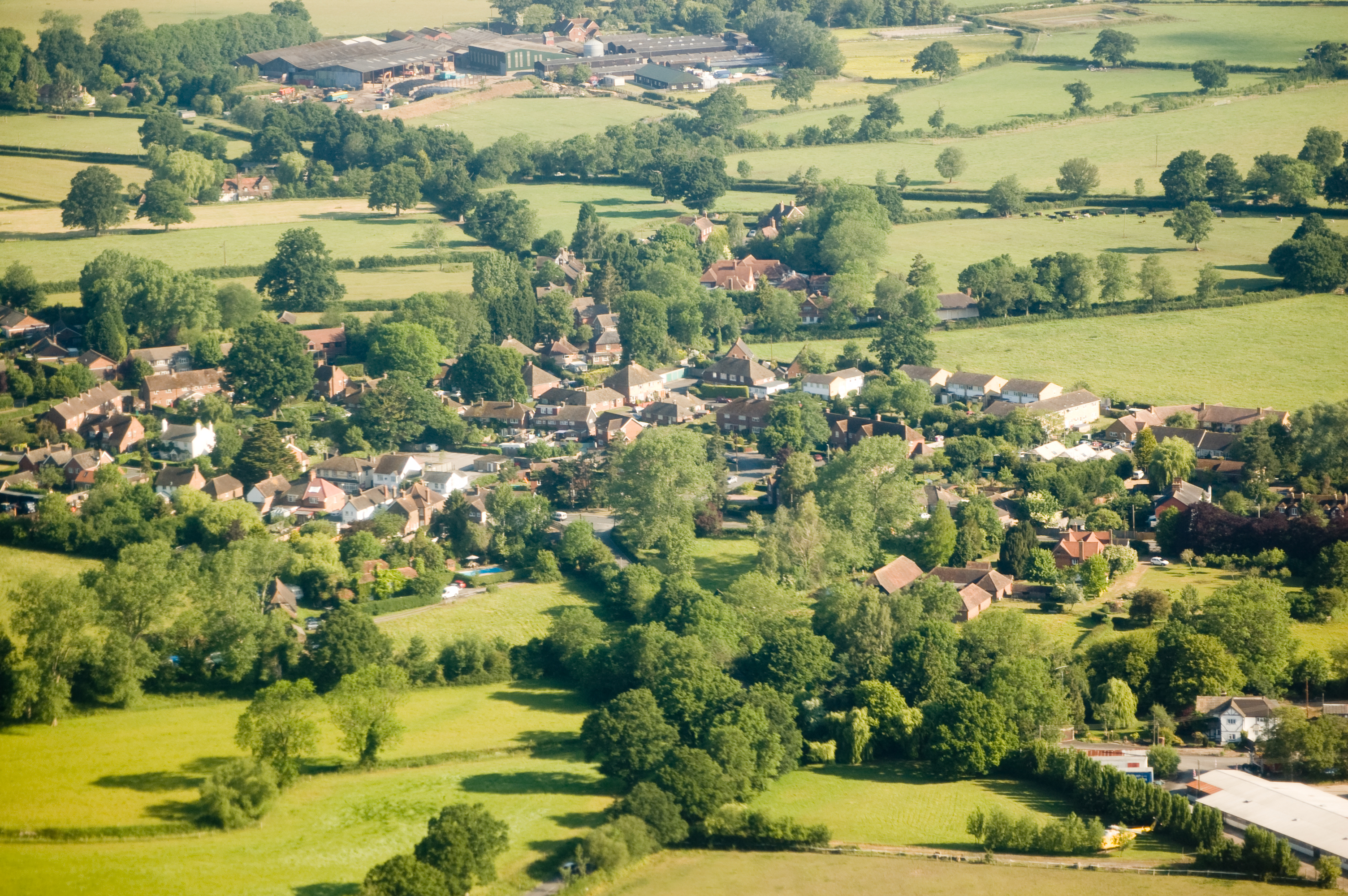 Trees of Surrey Aerial shot