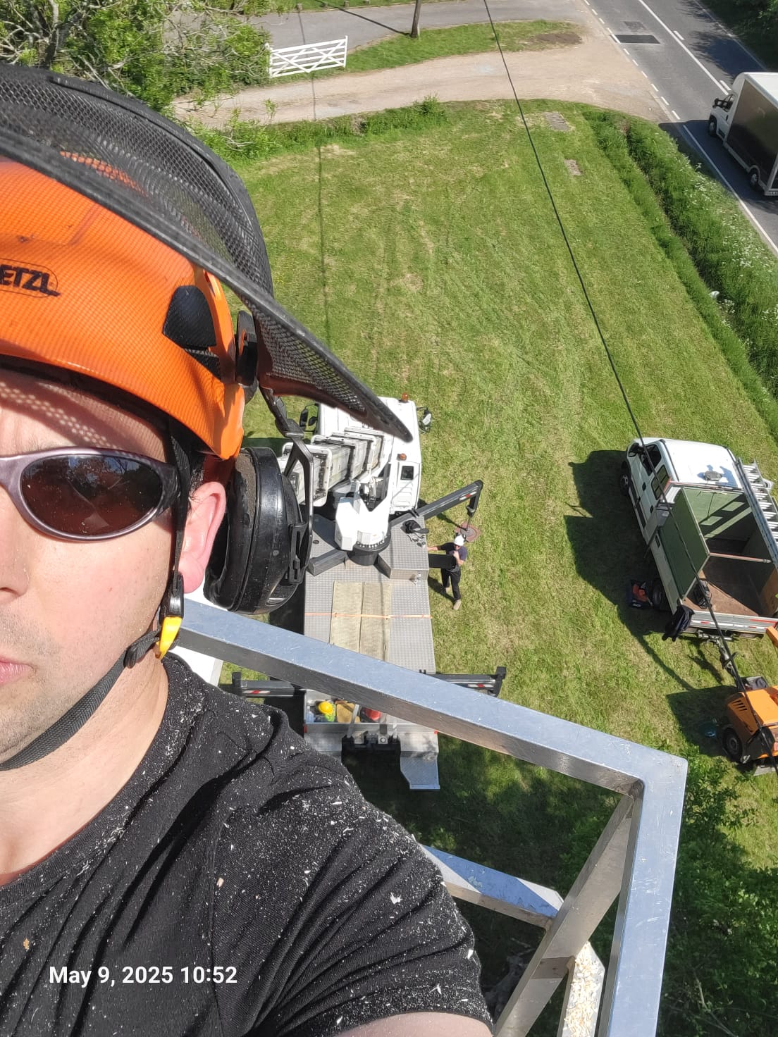 Certified tree surgeon removing brittle ash tree with MEWP